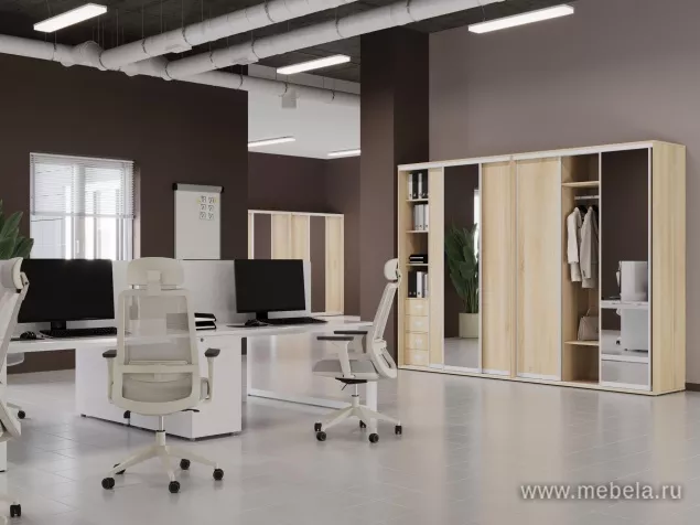 Шкафы-Купе Марис Акация