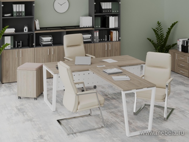 кабинет Project Elm T