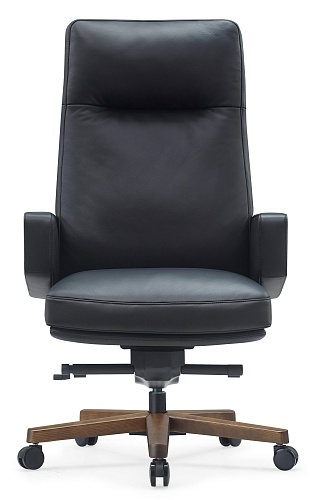 фото кресло RV-Rafael №2