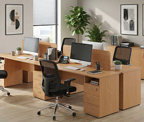 Офисная мебель Эко