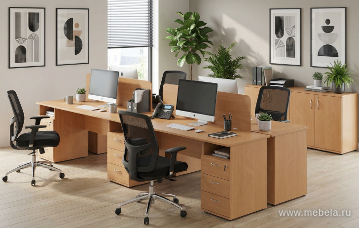 Офисная мебель Эко