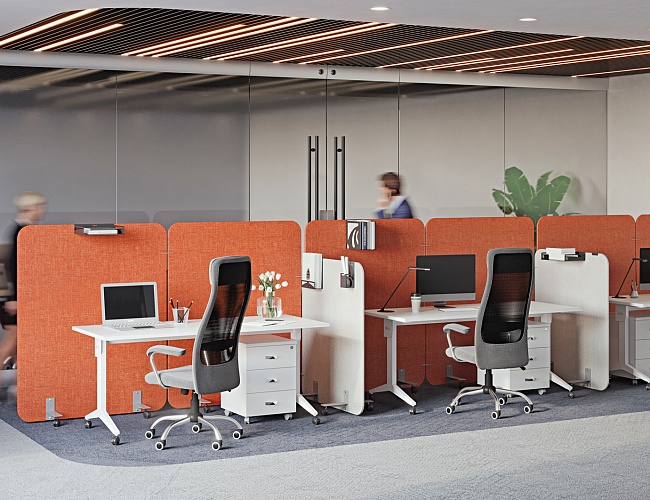 фото перегородки R-line Soft №5