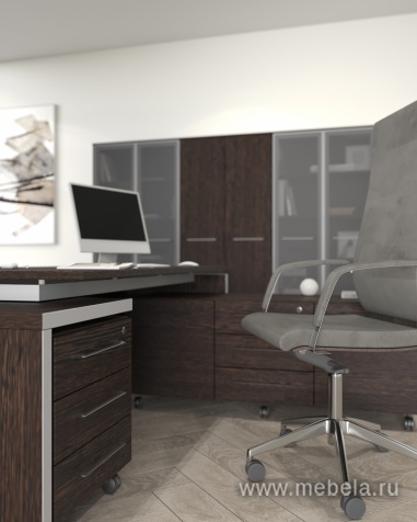 кабинет Reventon Wenge