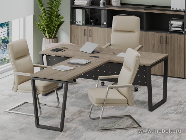 кабинет Project Elm T