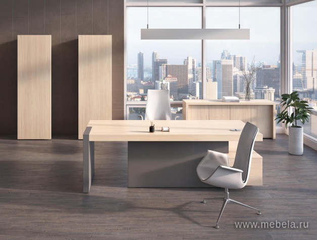 кабинет руководителя Era