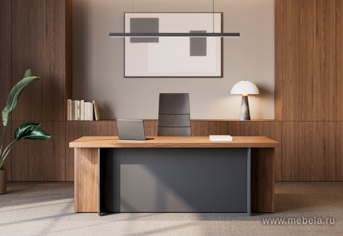 кабинет офисный Faber