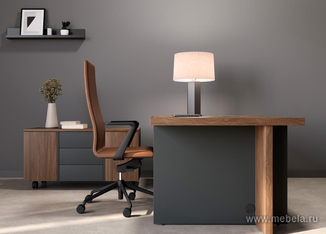 кабинет офисный Faber