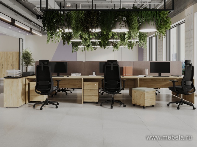 мебель Project Teckwood