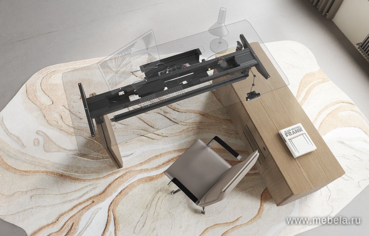 Кабинет руководителя Ion