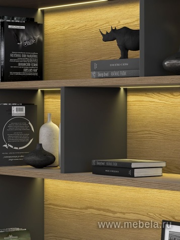 Кабинет руководителя Ion