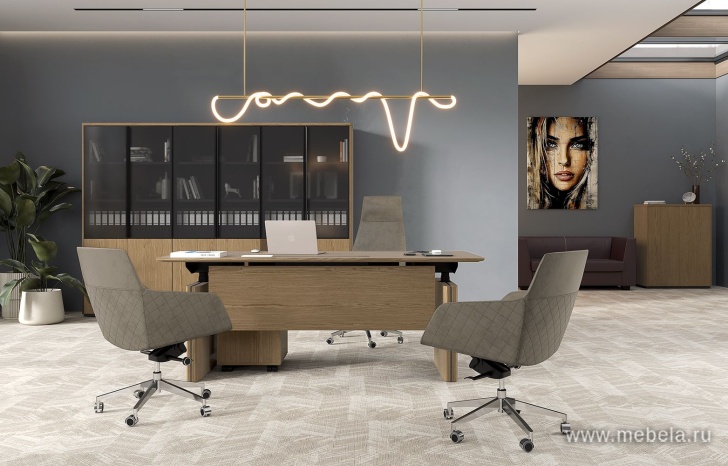 Кабинет руководителя Ion