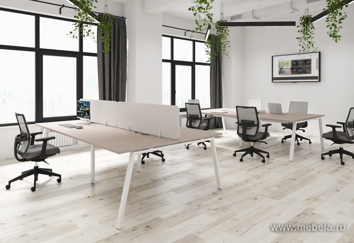 Офисная мебель Arena