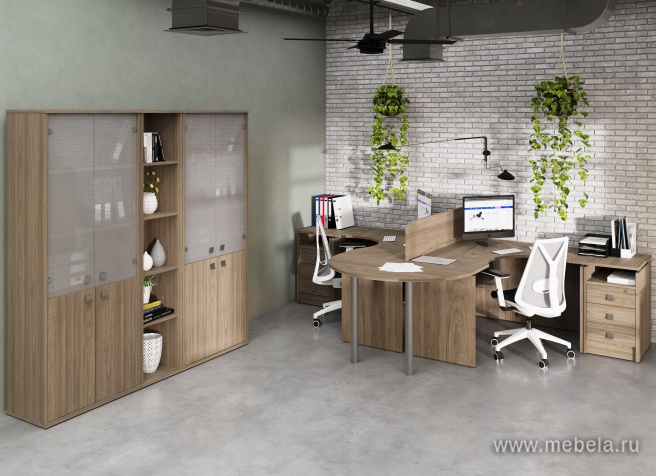 офисная мебель Style Elm