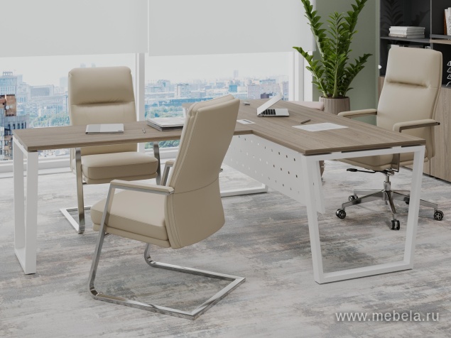 кабинет Project Elm T