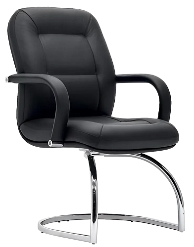 фото кресло Никсон D40