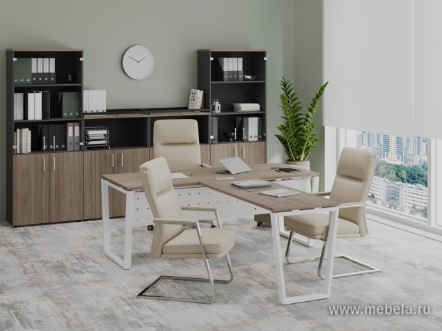 кабинет Project Elm T