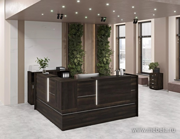 ресепшн Onix Mali