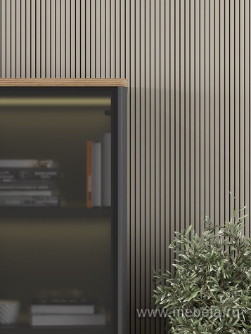 Кабинет руководителя Ion