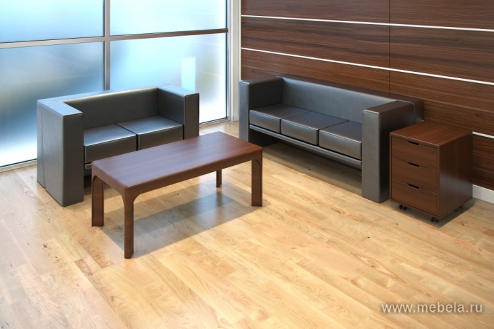 кабинет Zaragoza