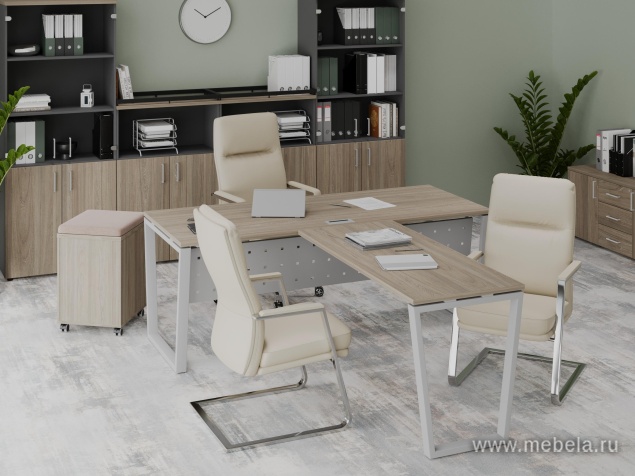 кабинет Project Elm T