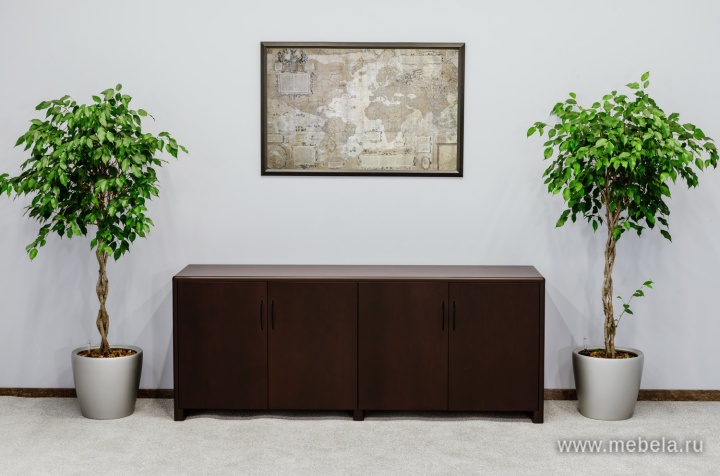 кабинет Forte