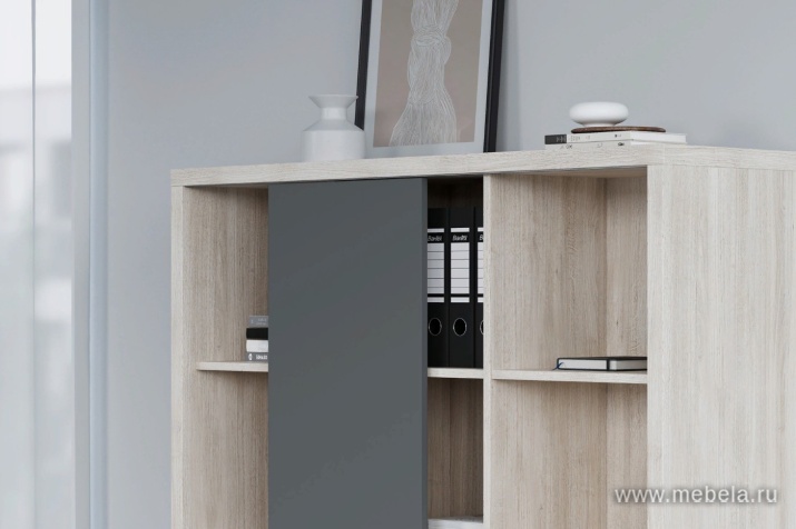 кабинет Zion Light