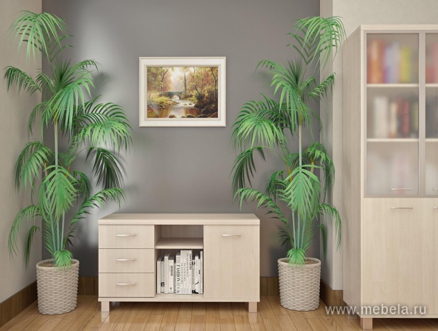 кабинет First Maple