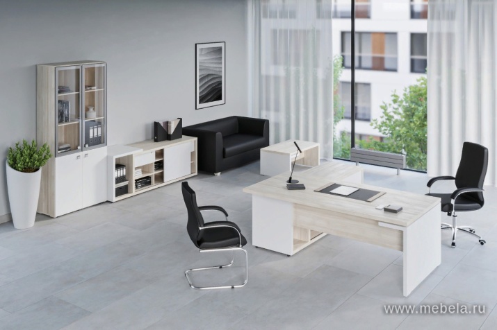 кабинет Zion Light