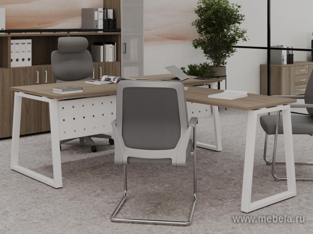 кабинет Project Elm T