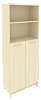 Офисный шкаф высокий широкий