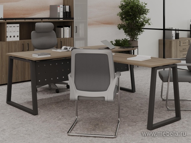 кабинет Project Elm T