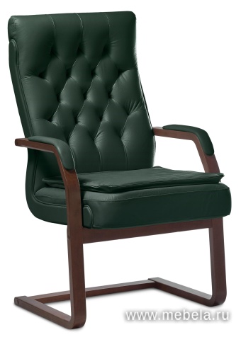 кресло Darwin C (с подушкой)