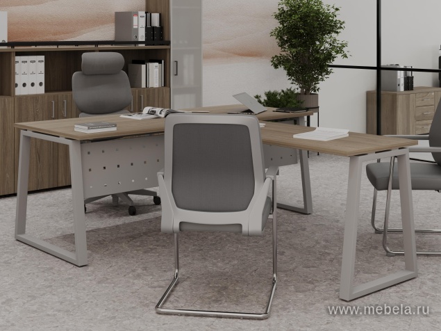 кабинет Project Elm T