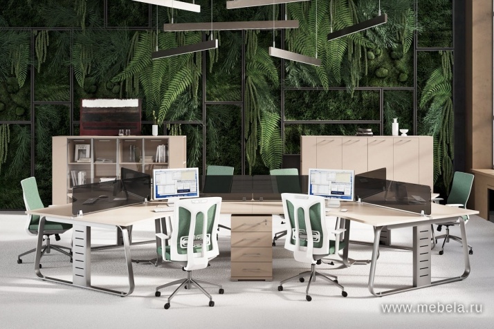 мебель Genesis