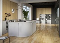 ресепшн Рива Серая