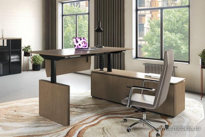 Кабинет руководителя Ion