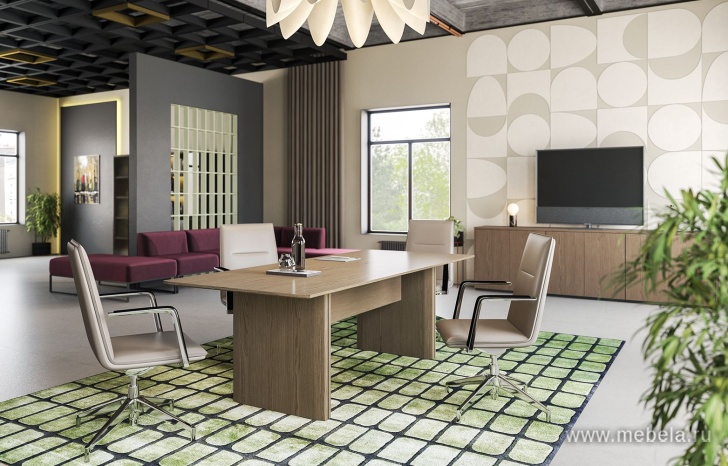 Кабинет руководителя Ion