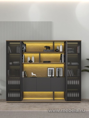 Кабинет руководителя Ion