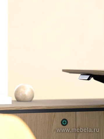 Кабинет руководителя Ion