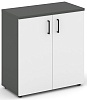 Офисный шкаф низкий широкий (2 низких фасада, задняя стенка ЛДСП)