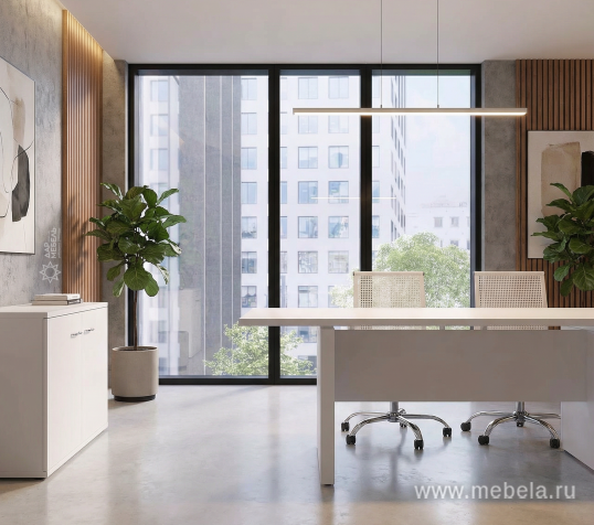 кабинет Steel Evo White