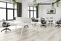 Офисная мебель Arena