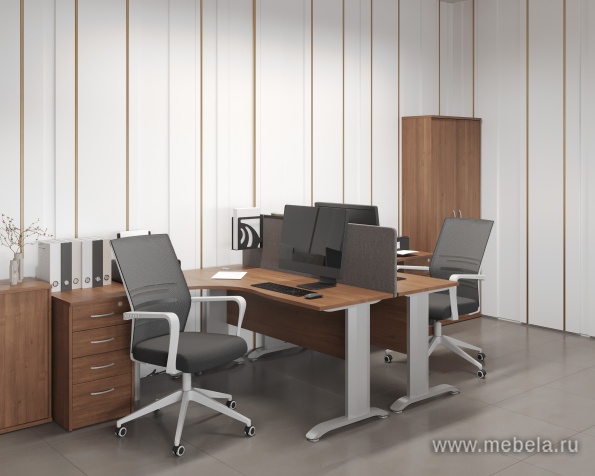 Офисная мебель Riva