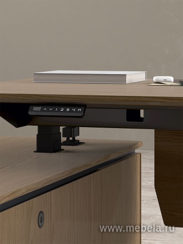 Кабинет руководителя Ion