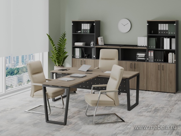 кабинет Project Elm T