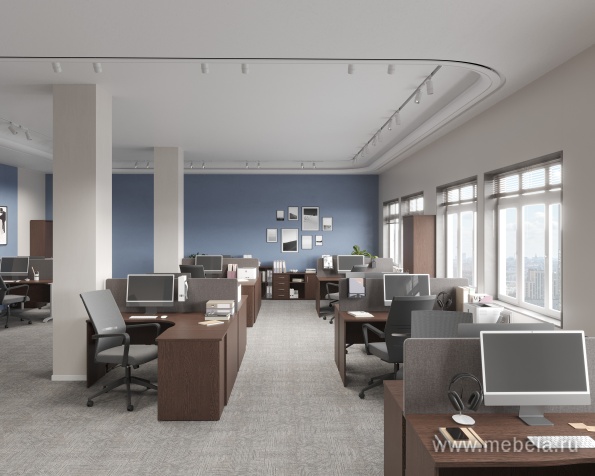 мебель Riva Wenge