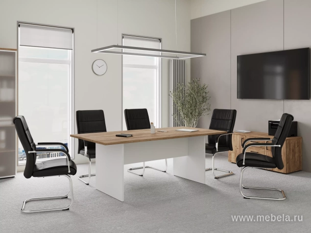 кабинет Проджект Дуб Т