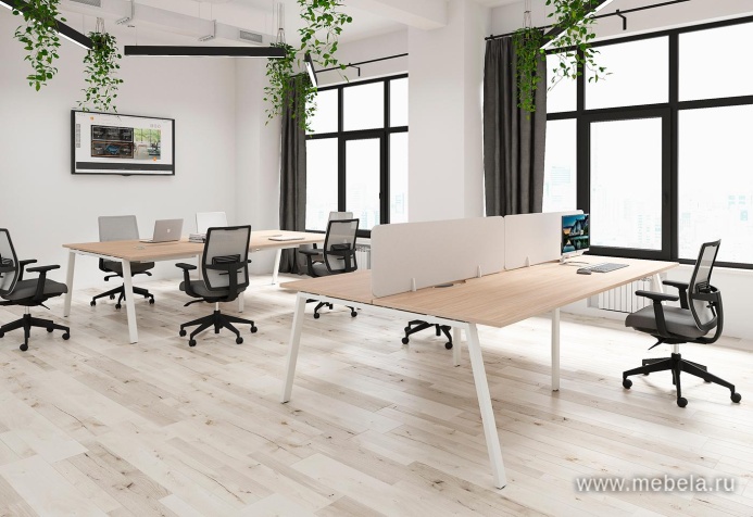 Офисная мебель Arena