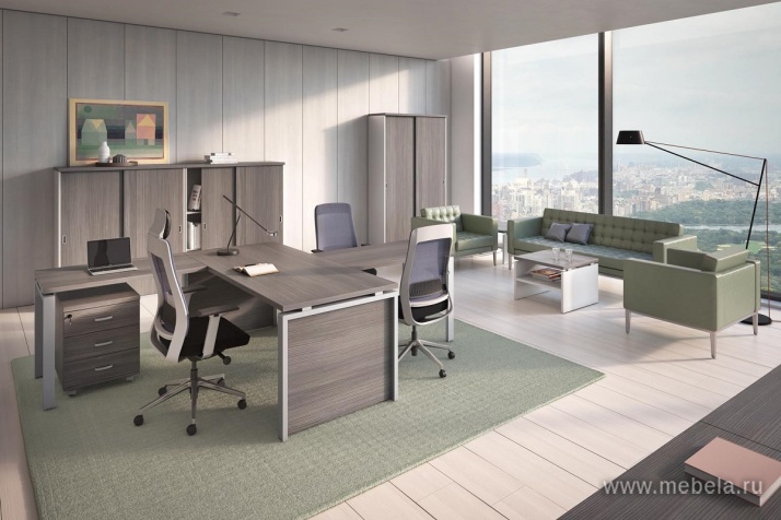 кабинет Flash LS