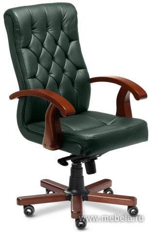 кресло Darwin B